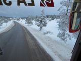 My Gallery (68/109)